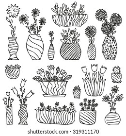 Hand drawn indoor plants in a pots, gloxinia, balsam, tulip, aster, daisy, sunflower, grass, cactus, camomile, hand bell, flowers in vases sketch, vector illustration