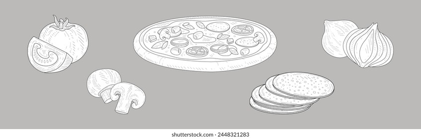 Ingredientes dibujados a mano para el conjunto de Vector de boceto de pizza