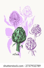 Hand drawn ink artichoke vegetable sketches set. Food drawings for labels and packaging. Vegetarian menu. Healthy diet.