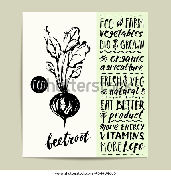 Hand drawn ink beetroot label with lettering.\
Eco, bio, organic farm\
product.
