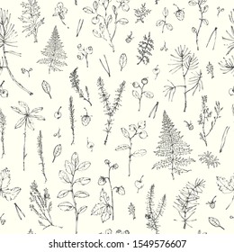 Hand drawn ink botanical seamless pattern. Forest plants background with pine branch, moss, juniper, berries, lichen, herbs. For ecological design.