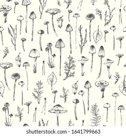 Hand drawn ink botanical seamless pattern. Forest plants background with heather branch, lichen, mushrooms, acorn, leaves. For ecological design.