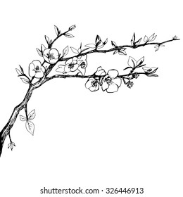 Hand drawn ink brunch with flowers and leafs