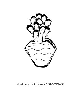 Hand drawn ink brush graphic vector succulent cactus plant isolated on white background.