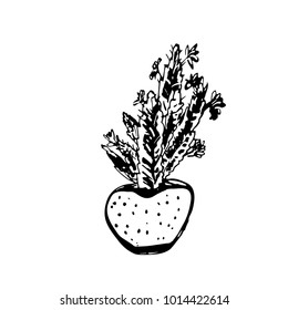 Hand drawn, ink brush graphic of a succulent, vector cactus plant isolated on white background.