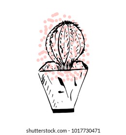 Hand drawn ink brush graphic vector succulent cactus plant isolated on white background.