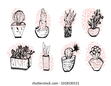 Hand drawn ink brush graphic vector succulent cactus plant isolated on white background.