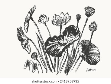 Hand drawn ink brush painting of lotus flowers, buds, leaves, branches. Water lily background asian style painting. Vector nature poster, template for packaging and labels, spa and beauty products.