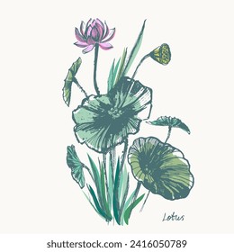 Hand drawn ink brush painting of lotus flowers, buds, leaves, branches. Water lily background asian style painting. Vector nature poster, template for packaging and labels, spa and beauty products.