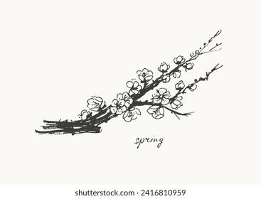 Hand drawn ink brush painting of spring blooming sakura tree branches with flowers. Traditional asian style background. Vector nature poster, template for packaging and labels, spa beauty products.