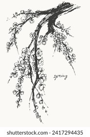 Hand drawn ink brush painting of spring blooming sakura tree branches with flowers. Traditional asian style background. Vector nature poster, template for packaging and labels, spa beauty products.