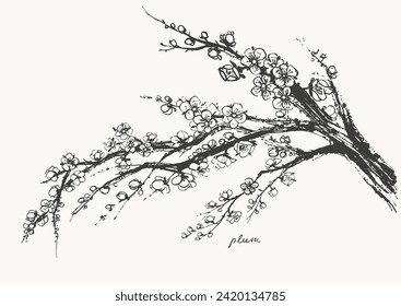 Hand drawn ink brush painting of spring blooming sakura tree branches with flowers. Traditional asian style background. Vector nature poster, template for packaging and labels, spa beauty products.