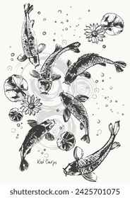 Hand drawn ink brush painting of koi carp fish, lotus, water bubbles. Traditional japanese style ink drawing. Vector nature poster, template for packaging and labels, asian food, spa and beauty.