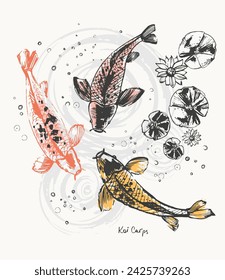 Hand drawn ink brush painting of koi carp fish, lotus, water bubbles. Traditional japanese style ink drawing. Vector nature poster, template for packaging and labels, asian food, spa and beauty.