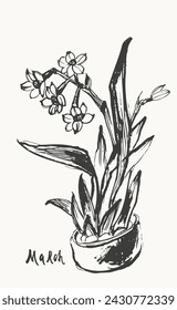 Hand drawn ink brush painting of daffodil narcissus flowers, branches with leaves and buds. Traditional japanese style ink drawing. Vector nature poster, template for packaging and labels.