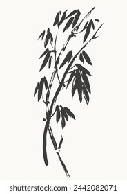 Hand drawn ink brush painting of bamboo plant with leaves. Traditional japanese style ink drawing. Vector nature poster, template for packaging and labels, asian food, spa and beauty products.