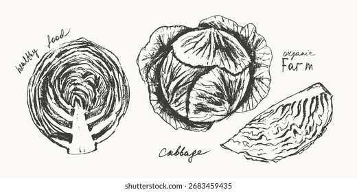 Handgezeichnete Tintenkohl Gemüse Skizzen Set. Lebensmittelzeichnungen für Etiketten und Verpackungen. Vegetarisches Menü. Gesunde Ernährung.