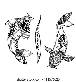 hand drawn ink carp koi on white background. Coloring page -  design for adults, poster, print, t-shirt, invitation, banners, flyers.