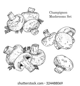 Hand drawn ink champignon mushrooms sketches set. Outline retro style. Isolated