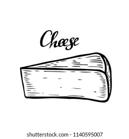 Hand drawn Ink Cheese vector engraving illustration. Isolated on white