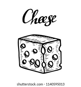 Hand drawn Ink Cheese vector engraving illustration. Isolated on white