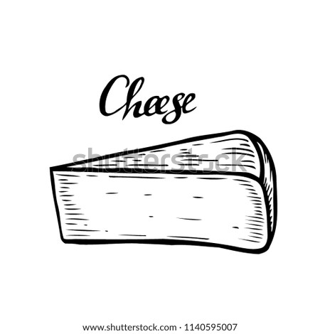 Hand drawn Ink Cheese vector engraving illustration. Isolated on white