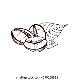 hand drawn ink coffee beans, sketch of coffee beans. vector eps 10