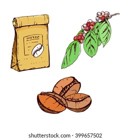 hand drawn ink coffee beans, sketch of coffee beans. vector eps 10