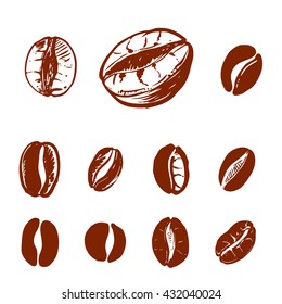 hand drawn ink coffee beans, sketch of coffee beans. vector eps 8