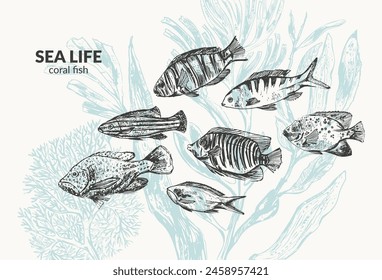 Peces de coral de tinta dibujados a mano. Criaturas marinas sobre fondo verde claro con plantas de algas, laminaria, fucus, corales. Cartel de vida marina, fondo de naturaleza.