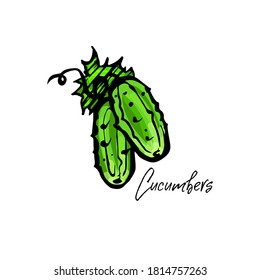 Los pepinos de tinta dibujados a mano aislados en un fondo blanco. Ilustración del vector