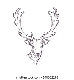 hand drawn ink deer on white background. design for adults, poster, print, t-shirt, invitation, banners, flyers. sketch. vector eps 8.