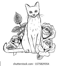 hand drawn ink doodle cat and flowers on white background.