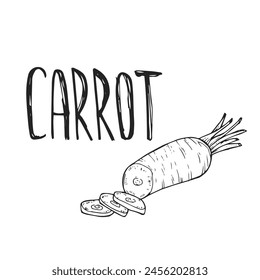 Hand drawn ink doodle sketch carrot with lettering. Eco, bio, organic farm product.
