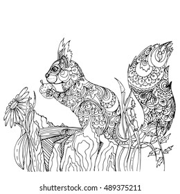 hand drawn ink doodle squirrel with a nut on an old stump on white background. Sketch. vector eps 8.
