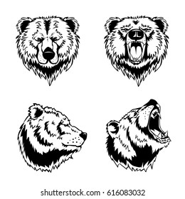 Hand drawn ink engravings set of four bear head in different angles and moods isolated on white background vector illustration