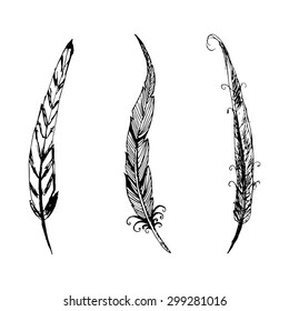 Hand drawn ink feather set. Vector elements.