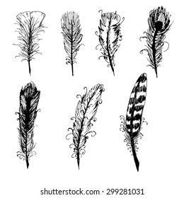 Hand drawn ink feather set. Vector elements.