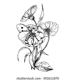 hand drawn ink floral ornament with flowers marigolds and cosmos on white background. butterfly on a flower.