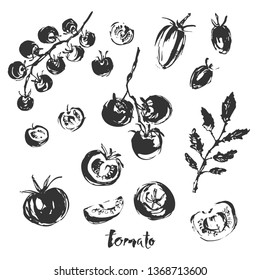 Hand drawn ink food sketch. Drawings of tomato variaties, cherry tomato, cocktail slices, branches and leaves.