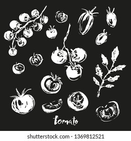 Hand drawn ink food white chalk sketch. Drawings of tomato varieties, cherry tomato, cocktail slices, branches and leaves.