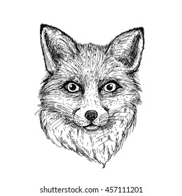 44,480 Hand drawn fox Images, Stock Photos & Vectors | Shutterstock