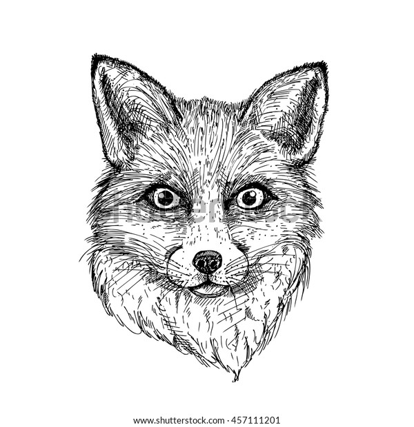 Hand Drawn Ink Fox On White Stock Vector (Royalty Free) 457111201 ...