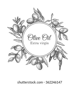 Hand drawn ink frame with olive branch
