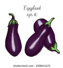 Hand drawn ink illustration of eggplants
