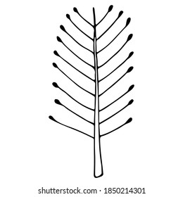 Hand drawn ink illustration. Hand drawn trees doodle set collection