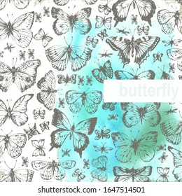 Hand drawn ink line art butterfly and moth pattern with green mint watercolor wash. For holiday card, banner, labels or romantic background.
