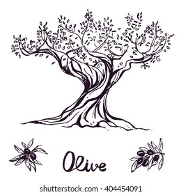 hand drawn ink olive tree. vector eps 10