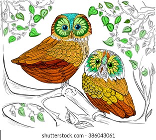 Hand drawn ink pattern. Coloring book Coloring for adult Owl Night owls