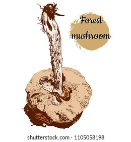 Hand drawn ink pen vintage engraving style vector illustration of forest mushroom with a slug in brown color.